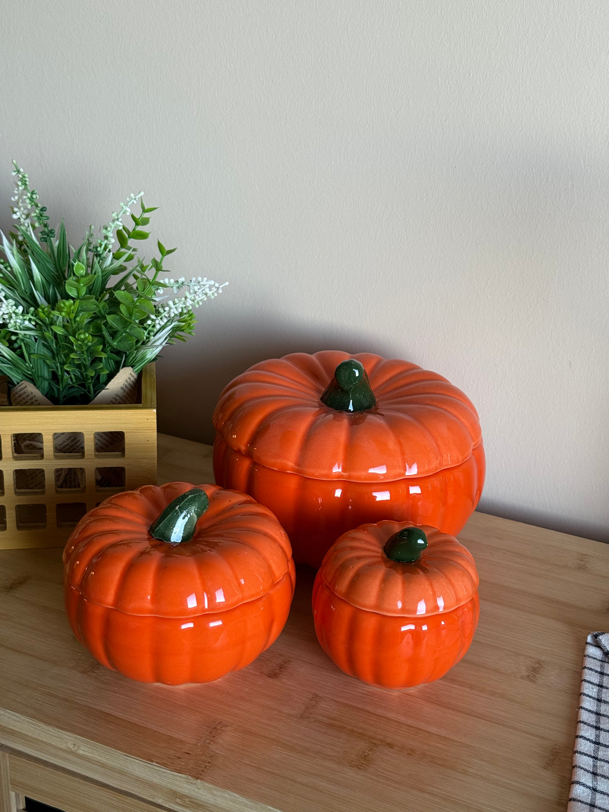 Pumpkin 3 Boy Kabak Seti KOD:50120-21-22