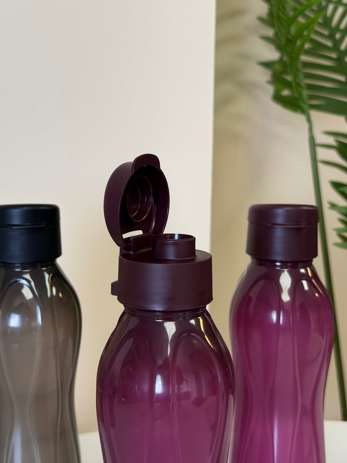 Homeniva 2 Li Set Alana 2 Li Set Hediye Matara 750 ml Siyah-Bordo